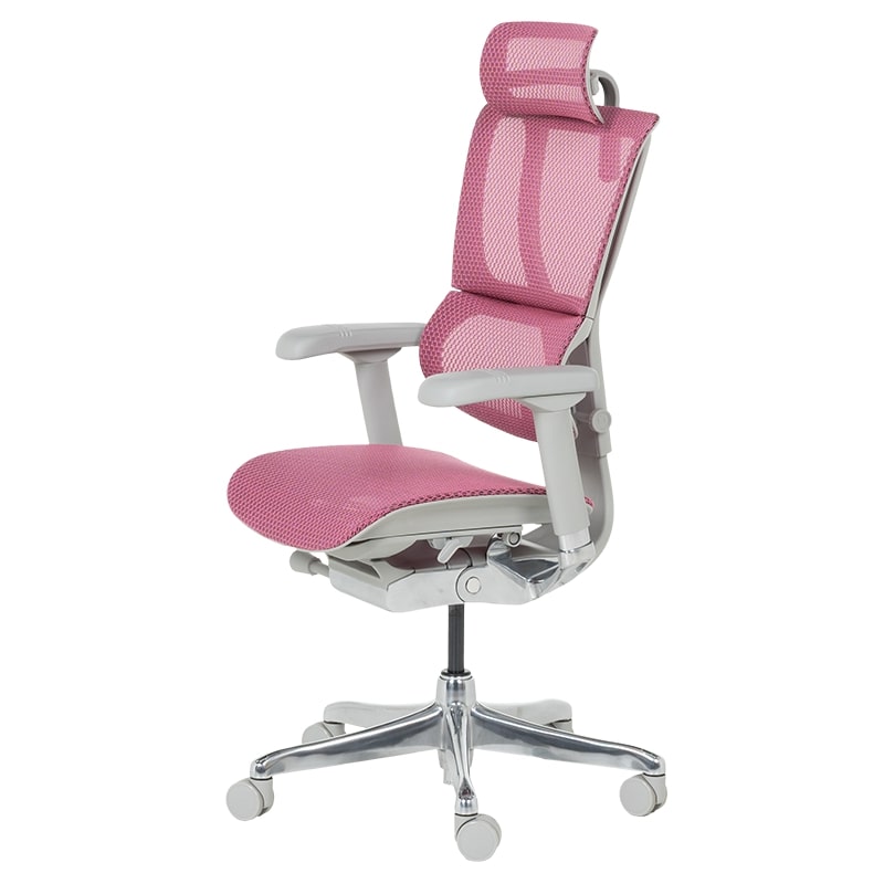 Ергономичен стол IOO Elite 2 сива рамка-розов